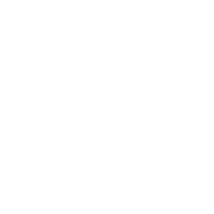 Birdhouse Printshop Logo 2